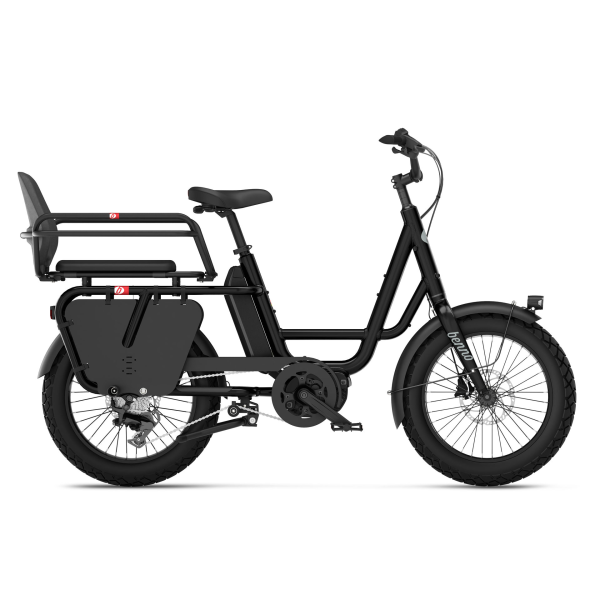 Benno Bikes RemiDemi 9D Performance EVO 4 Family Package